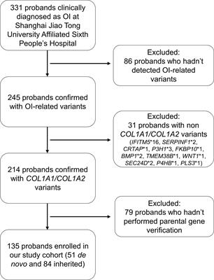 Comparing Clinical and Genetic Characteristics of De Novo and Inherited COL1A1/COL1A2 Variants in a Large Chinese Cohort of Osteogenesis Imperfecta